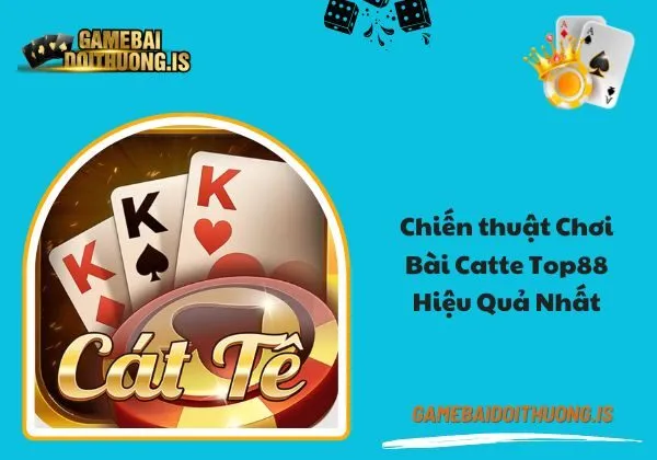 Catte Top88