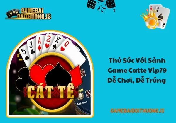 Catte Vip79
