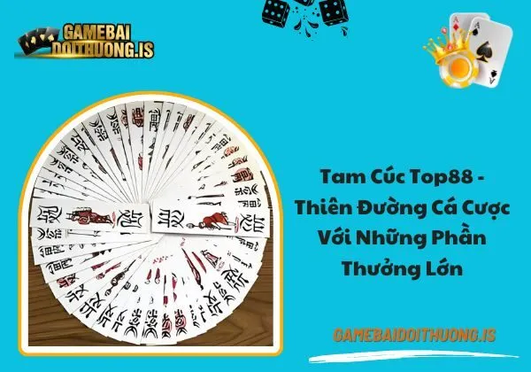 tam cúc top88